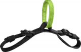 TreeRex SRT Bridge silta