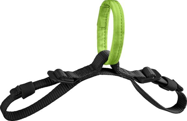 TreeRex SRT Bridge silta